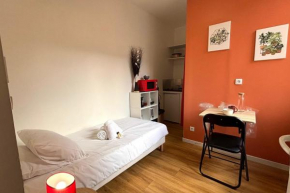 Le Petit Studio - Quartier Gratte Ciel proche métro A